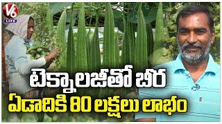 Ridgegourd Cultivation With Grafting Technology Yields 180 Tons Vegetables In Elukurthy WarangalV6