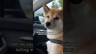 Shivering Doge Bad Driver alert‼️ #cutenessoverload