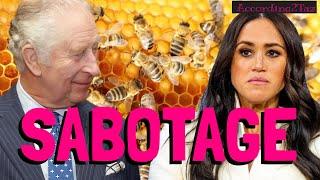 SABOTAGE - Meghan Has Bee In Her Bonnet 