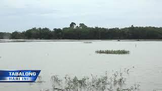 60 Hektar Lahan Sawah Milik Warga Tabalong Rusak Akibat Banjir