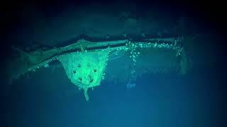 Deep Sea Dive on Battle of Midway Wreck IJN Kaga 加賀  Nautilus Live
