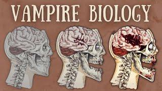 Vampire Biology Explained  The Science of Vampirism