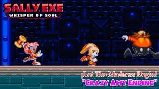 Sally.exe Whisper of Soul ¡Let The Madness Begin  Crazy Amy Ending