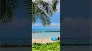 Waikiki Beach  Kuhio Beach Park ️ Yoga Floats ️ Surfing  Honolulu  Oahu  Hawaii John #Shorts