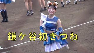 ファイターズガール鎌ケ谷初「きつねダンス」吉田桃子さん　ももちゃん躍動2023.9.30