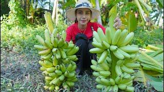 Fresh banana in countryside and make dessert recipe - Polin lifestyle