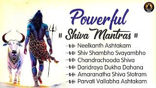 Powerful Shiva Mantras  Shiva Powerful Songs  Shiva Ancient Mantra  Most Powerful Stotram