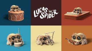 Die Spinne Lucas – Ein-Mann-Band