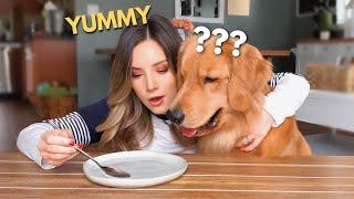 My Dog Reacts to the Invisible Food Challenge