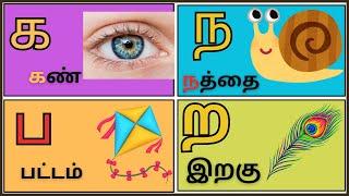 உயிர்மெய் எழுத்துக்கள் க ங ச  learn Tamil letters for kids