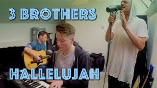 THePETEBOX & Brothers Ross and Matt  Leonard Cohen - Hallelujah cover