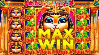 CLEOCATRA MAX WIN 5000X RECORD WIN CLEOCATRA BONUS BUY