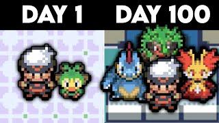 I Survived 100 Days In An Open World Pokemon Emerald Rom Hack