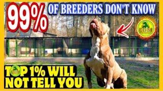 Dog Breeding - A Straightforward Guide