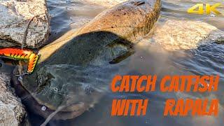 catfishing - catfish with rapala lures