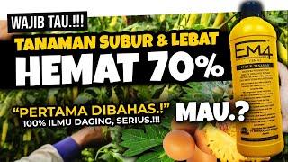 ANDAI SEMUA TAHU INI TANAMAN SUBUR & LEBAT HEMAT 70%  POTENSI DAHSYAT MIKROBA EM4  Pupuk Organik