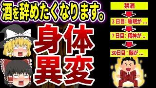 酒がバカバカしくなる！１か月禁酒を続けると現れる最強の変化とは【ゆっくり解説】