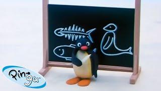 Pingu Enjoys Learning   Pingu - Official Channel  Cartoons For Kids