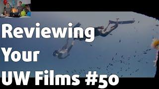 Reviewing YOUR UNDERWATER FILMS #50 ⎮ Pavel Hosnedl