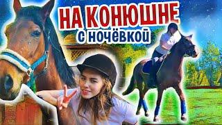 VLOG 2 ДНЯ на КОНЮШНЕ с НОЧЕВКОЙ