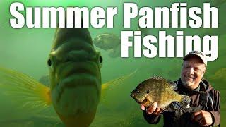 AnglingBuzz Show 12 Summer Panfish Fishing