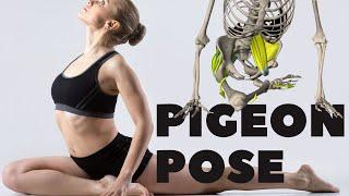 Pigeon Pose  Full Anatomical Analysis + Mistakes to Avoid