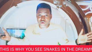 THIS IS WHY U SEE SNAKES IN YOUR DREAM