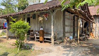 Bikin Betah.. Suasana Kampung Seperti Jaman Dulu Tepi Hutan Pelosok Kabupaten Kendal Jawa Tengah