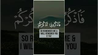 Remember Allah & Allah will remember you #shorts #rememberance #islam #allah #quranquotes #fyp