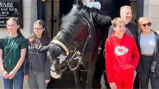 An Unforgettable Action Packed and Hilarious Day at Horse Guard in London