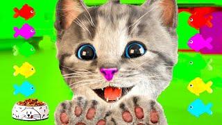 LITTLE KITTEN ADVENTURE LONG SPECIAL MEOW - FUNNY CARTOON ANIMALS - KITTY LONG VIDEO