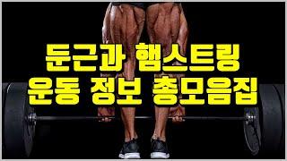 둔근 햄스트링 발달을 위한 모든 것데드리프트 완전 정복 최고의 햄스트링 운동 가장 추천 엉덩이 운동