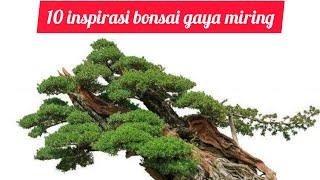 10 inspirasi bonsai gaya miring