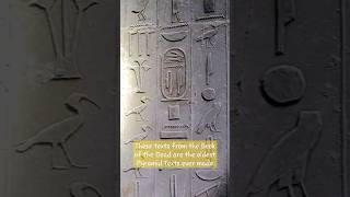 Oldest Pyramid Texts in existence  Inside the Unas Pyramid #shorts