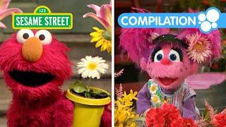 Sesame Street Happy Earth Day Songs with Elmo  Nature Compilation