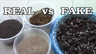 START A GARDEN WITH  REAL SOIL vs FAKE SOIL