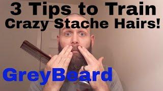 Taming A Crazy Mustache  GreyBeard