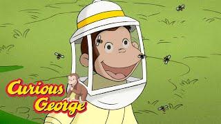 George the Beekeeper  Curious George  Kids Cartoon  Kids Movies