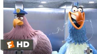 The Angry Birds Movie 2 2019 - Bathroom Heist Scene 610  Movieclips