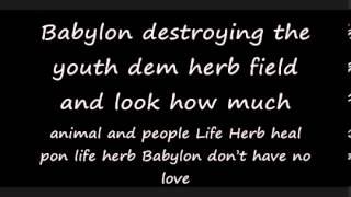 More Herbs I Wayne Lyrics on Screen D S T  Riddim