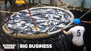 7 Of The Most Faked Seafoods In The World  Big Business  Business Insider