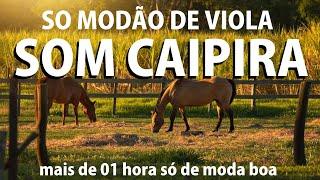 O Som Da Roça - MODÃO DE VIOLA 2324 - Alegra A Vida Do Caipira - Viola CaipiraSertanejo Raiz