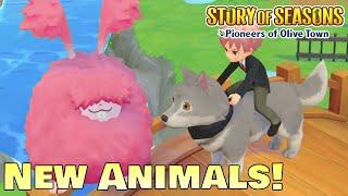 Pink Rabbits Black Cows and a Wolf Mount  Story of Seasons Pioneers of Olive Town Gameplay