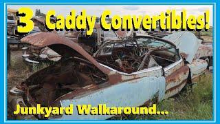 Cadillacs at the Junkyard What a Shame...