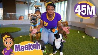 Meekah Pets Cute Puppies at Pet Space  Learn to Take Care of Animals - Blippi & Meekah Kids TV