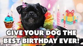 10 Tips for the Best Dog Birthday Party Ever