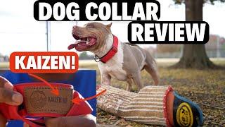 Best Dog Collar Review