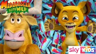 MADAGASCAR - A Roar Is Born