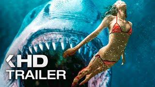 SHARK BAIT Trailer German Deutsch 2022