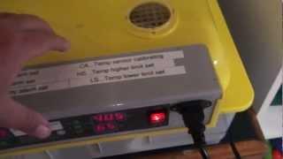 Cheap Chinese egg incubator review